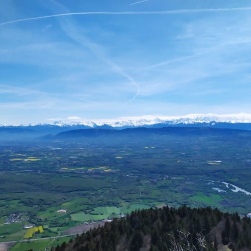 IMG-20210511-WA0000 (1)